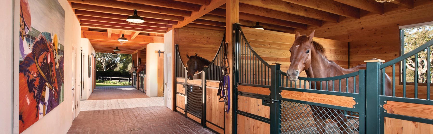 Getting More Information about Equine Equipment