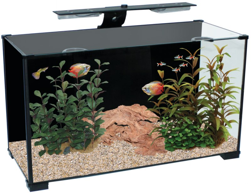 Salient Features of Aqua One Fish Tanks