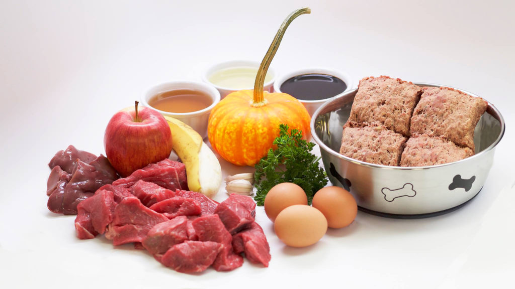 Dog Food Nutrition and Raw Food