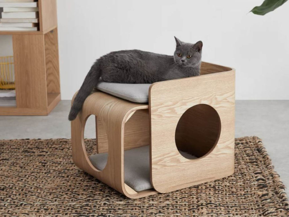 Pet Accessories For Your Cat