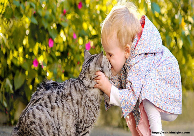 Cats and Kids – What You Should Know