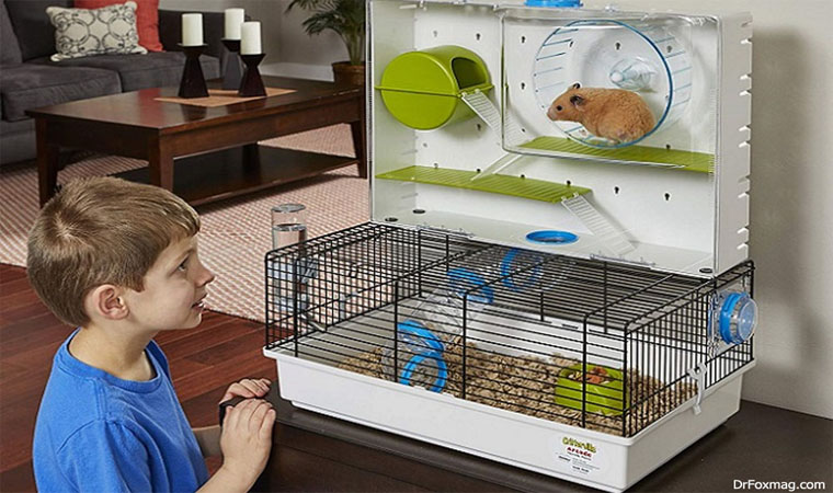 A Parent’s Guide – Avoiding Danger and Death within the Hamster Cage