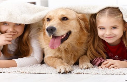 Are Your Kids Ready For Pets?
