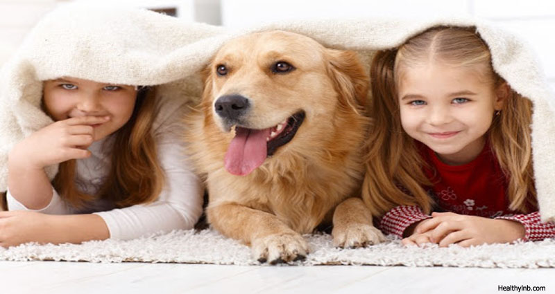 Are Your Kids Ready For Pets?