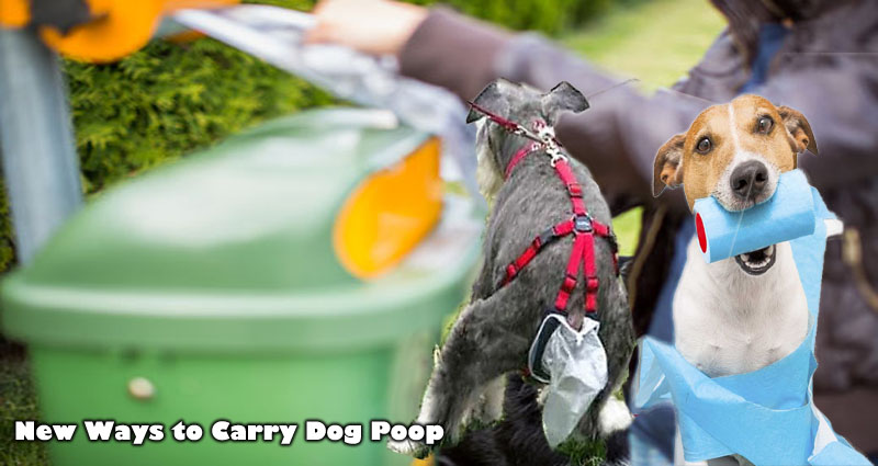 New Ways to Carry Dog Poop