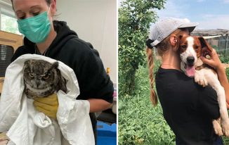 Volunteer Opportunities in Exotic Animal Rescue
