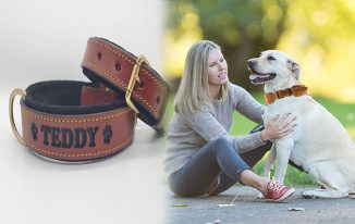 Customizable Embroidered Dog Collars for Small Breeds