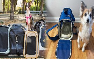 Stylish Pet Carrier Backpack for Small Dogs: Perfect for TSA-Approved Airline Travel
