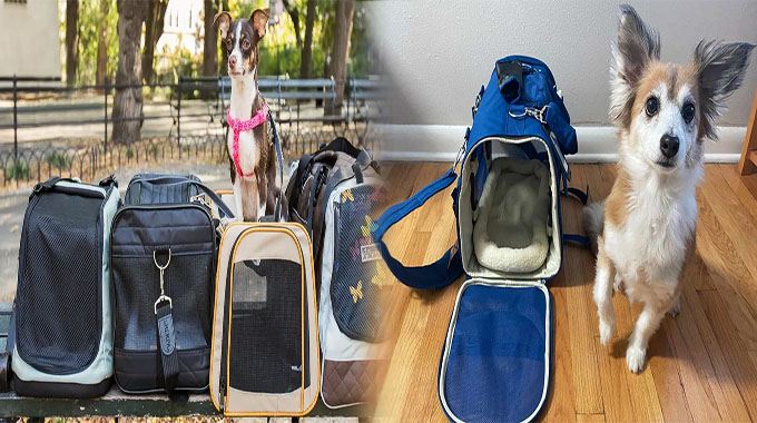 Stylish Pet Carrier Backpack for Small Dogs: Perfect for TSA-Approved Airline Travel