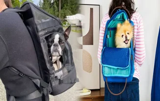 Backpack Pet Carriers for Small Dogs: A Must-Have for Hiking Adventures