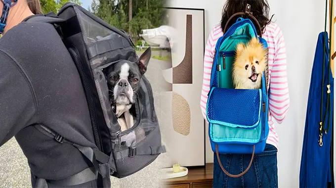 Backpack Pet Carriers for Small Dogs: A Must-Have for Hiking Adventures