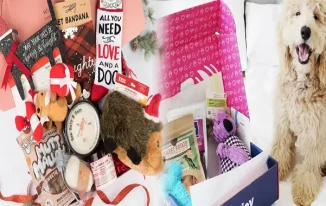 Bringing Joy to Your Furry Friend: Affordable Dog Toy Subscription Boxes for Monthly Delivery