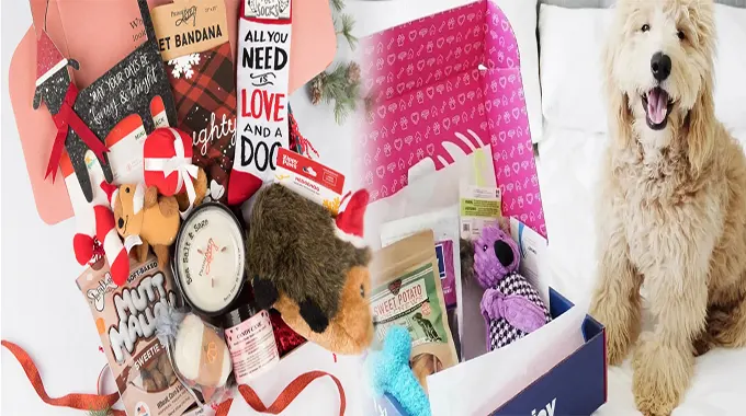 Bringing Joy to Your Furry Friend: Affordable Dog Toy Subscription Boxes for Monthly Delivery
