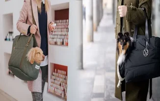 Elevate Your Small Breed’s Travel Experience with Luxury Designer Pet Carriers