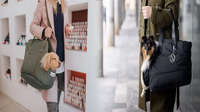 Elevate Your Small Breed’s Travel Experience with Luxury Designer Pet Carriers