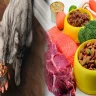 Embrace the Purity of Organic Wet Puppy Food with Real Meat Ingredients