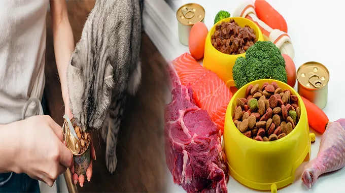 Embrace the Purity of Organic Wet Puppy Food with Real Meat Ingredients