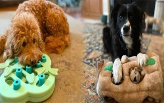 Engaging Your Pup with Interactive Puzzle Toys for Smart Dogs