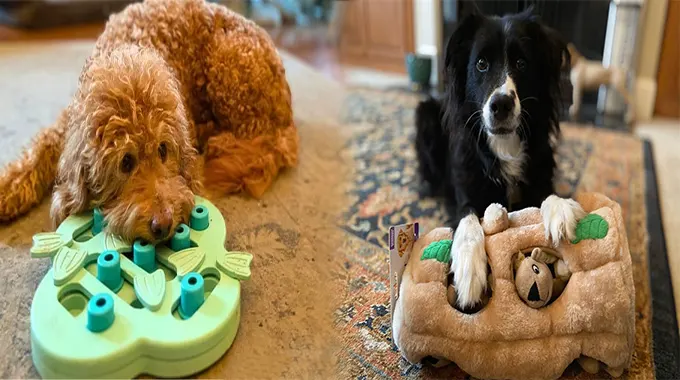 Engaging Your Pup with Interactive Puzzle Toys for Smart Dogs