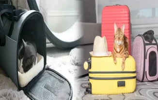 Exploring the Benefits of Expandable Soft-Sided Pet Carriers for Cats and Dogs