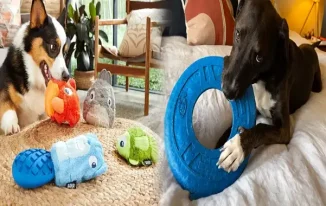 Finding the Best Durable Squeaky Toys for Large Breed Dogs