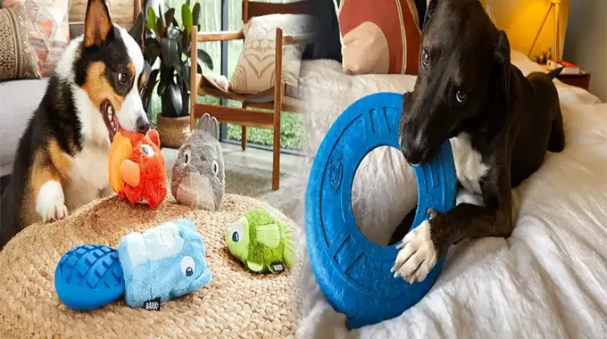 Finding the Best Durable Squeaky Toys for Large Breed Dogs