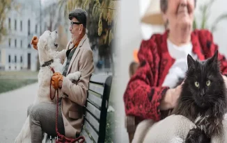 Finding the Perfect Companion: Best Pets for Seniors Living Alone