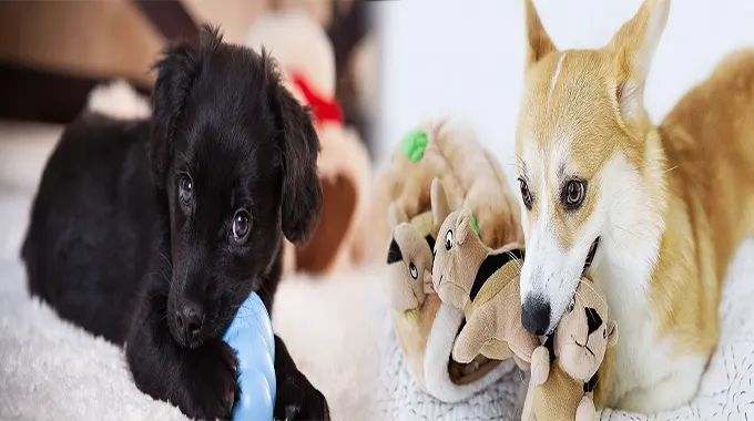 Soft Plush Toys: The Perfect Solution for Small Puppies with Teething Issues