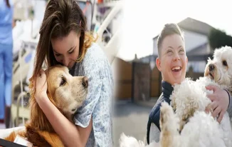 Top Companion Pets for Children with Special Needs: Providing Comfort and Support