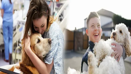 Top Companion Pets for Children with Special Needs: Providing Comfort and Support