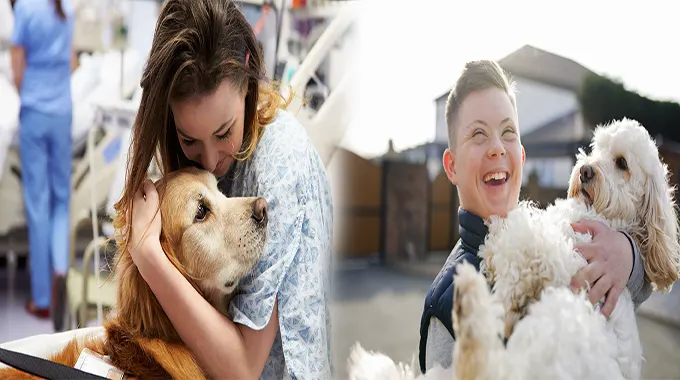 Top Companion Pets for Children with Special Needs: Providing Comfort and Support