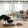 Beyond the Walk: Daily Mental Enrichment Routines for High-Energy Juvenile Dogs