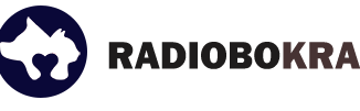logo-10032026
